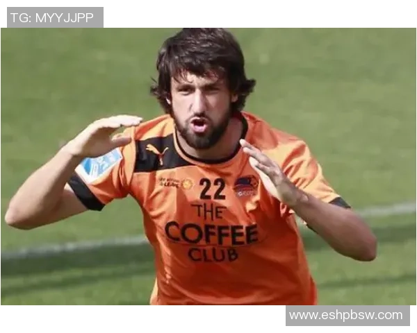 北昆士兰对阵布里斯班狮吼精彩赛事回顾与分析八月二十七日